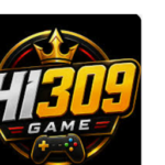 Hi309 Game